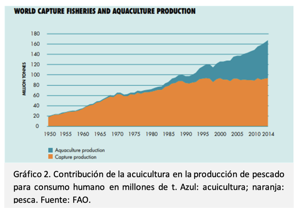 Contribución de la acuicultura en la producción de pescado para consumo humano en millones de t. Azul: acuicultura; naranja: pesca